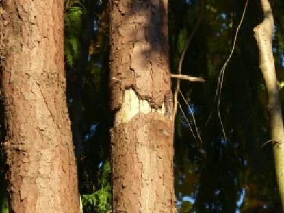 image14.jpg