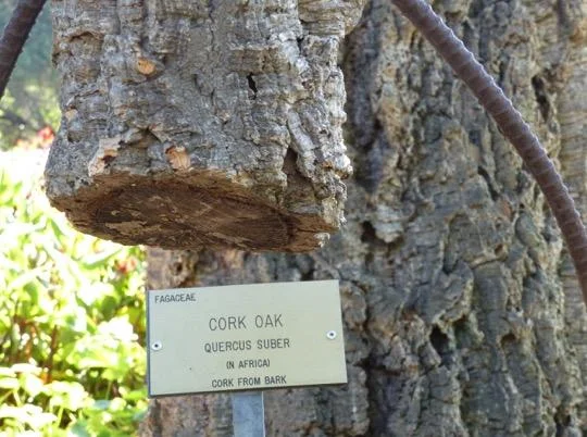 image22.jpg