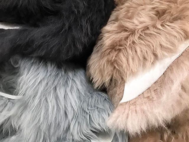 Leather sourcing for next season........fur?? 🐑 colour palette is definitely on ☝️
