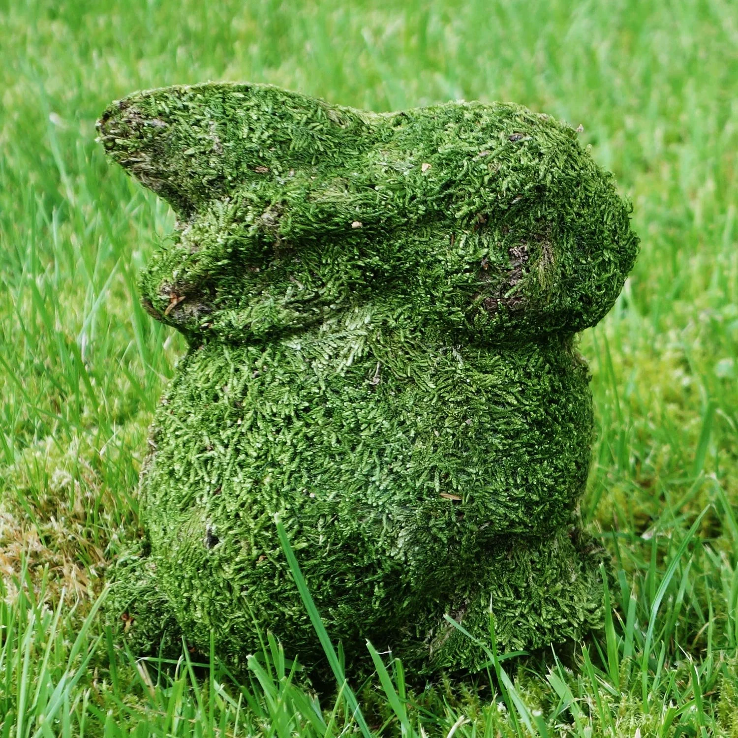 HASE_THUMB_ALT-16_Hase_19_Moos3D-1.jpg