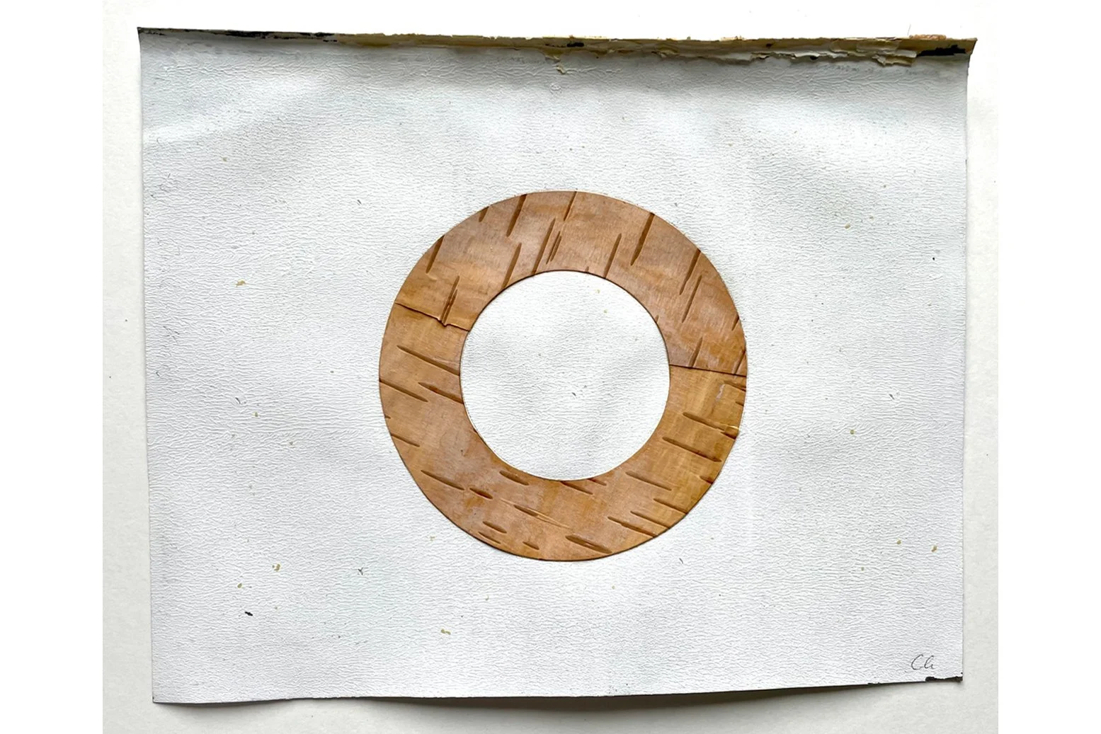  Kreis, Birkenrinde, Acryl auf Papier 3, 22,5 x 28,5 cm 