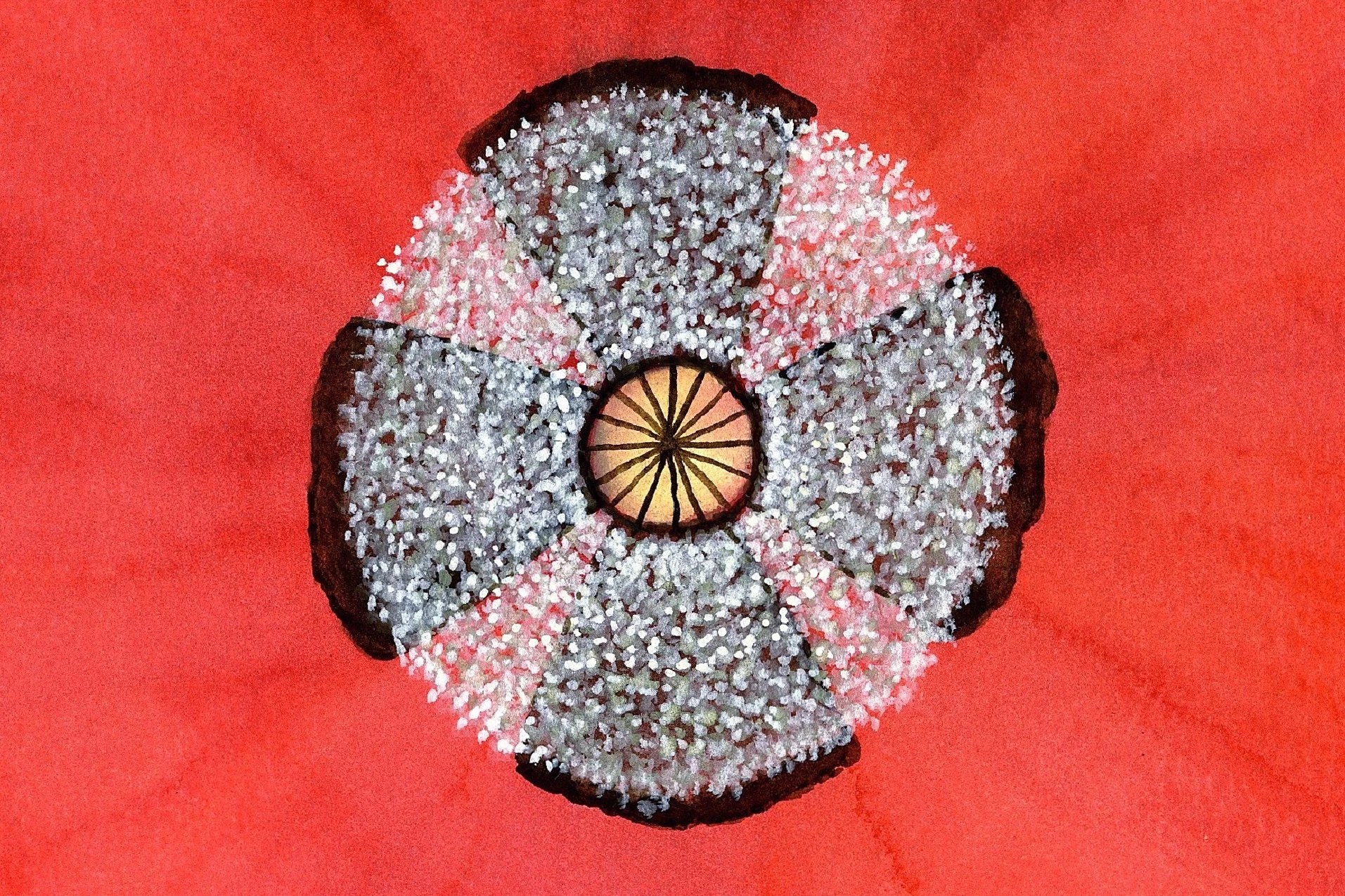  Kreis, Mohn, Auarell, 21x29,7 cm 
