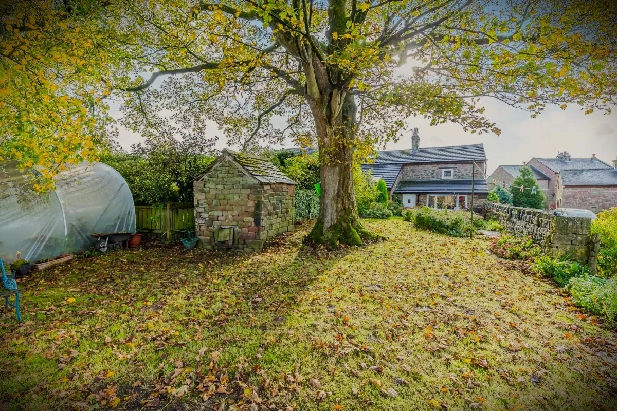 276WOL houserear.jpeg