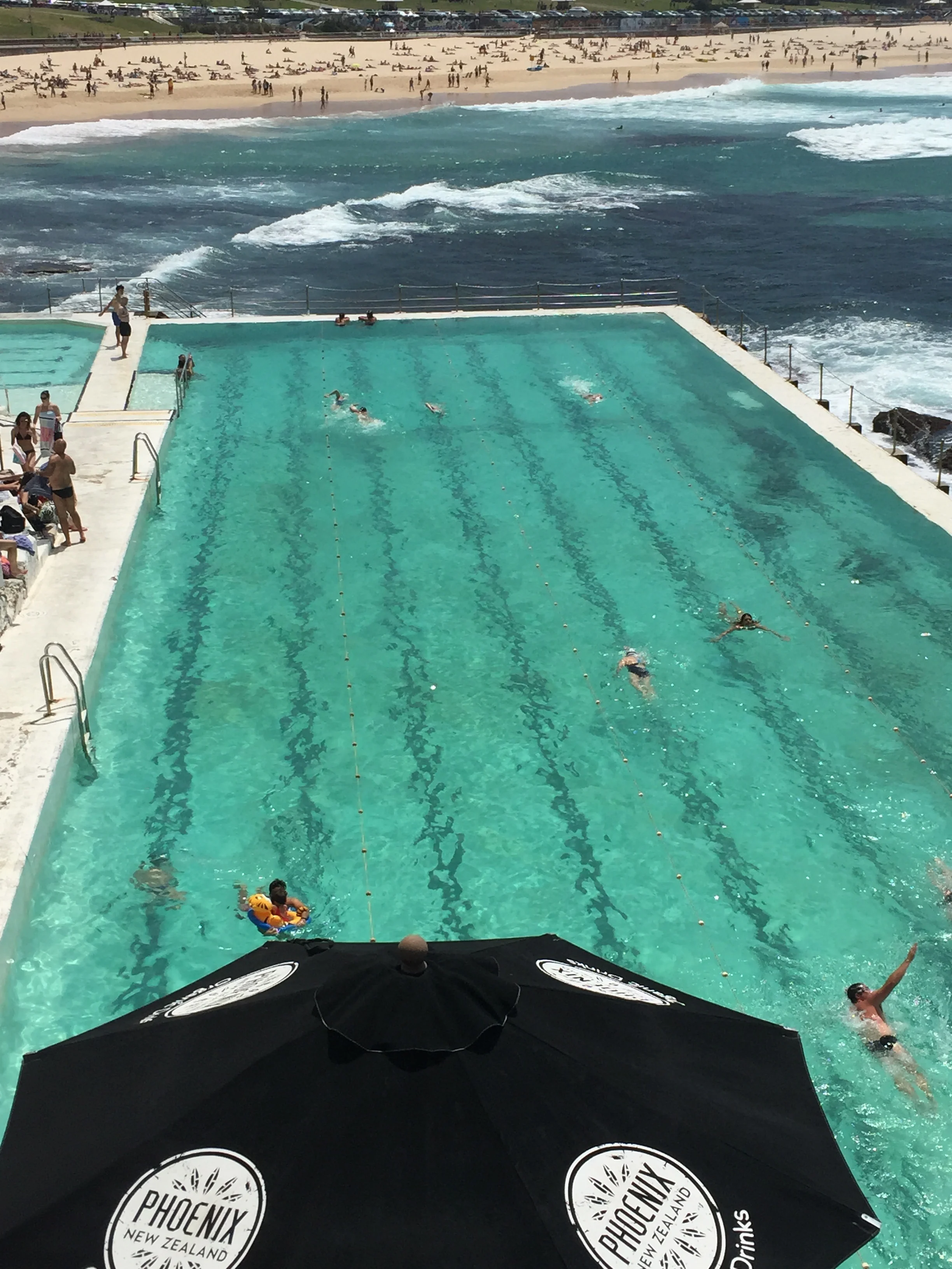 Swimming in Bondi Icebergs pool before going to work