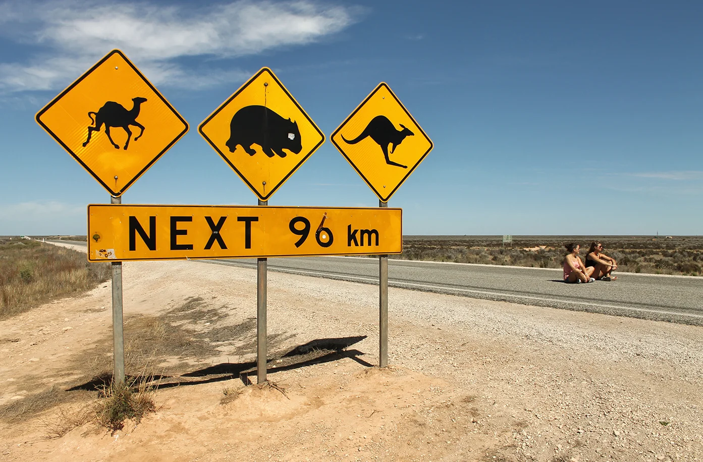 Roadsigns in Australia: camel, wombat, kangaroo - see them all with a WHV