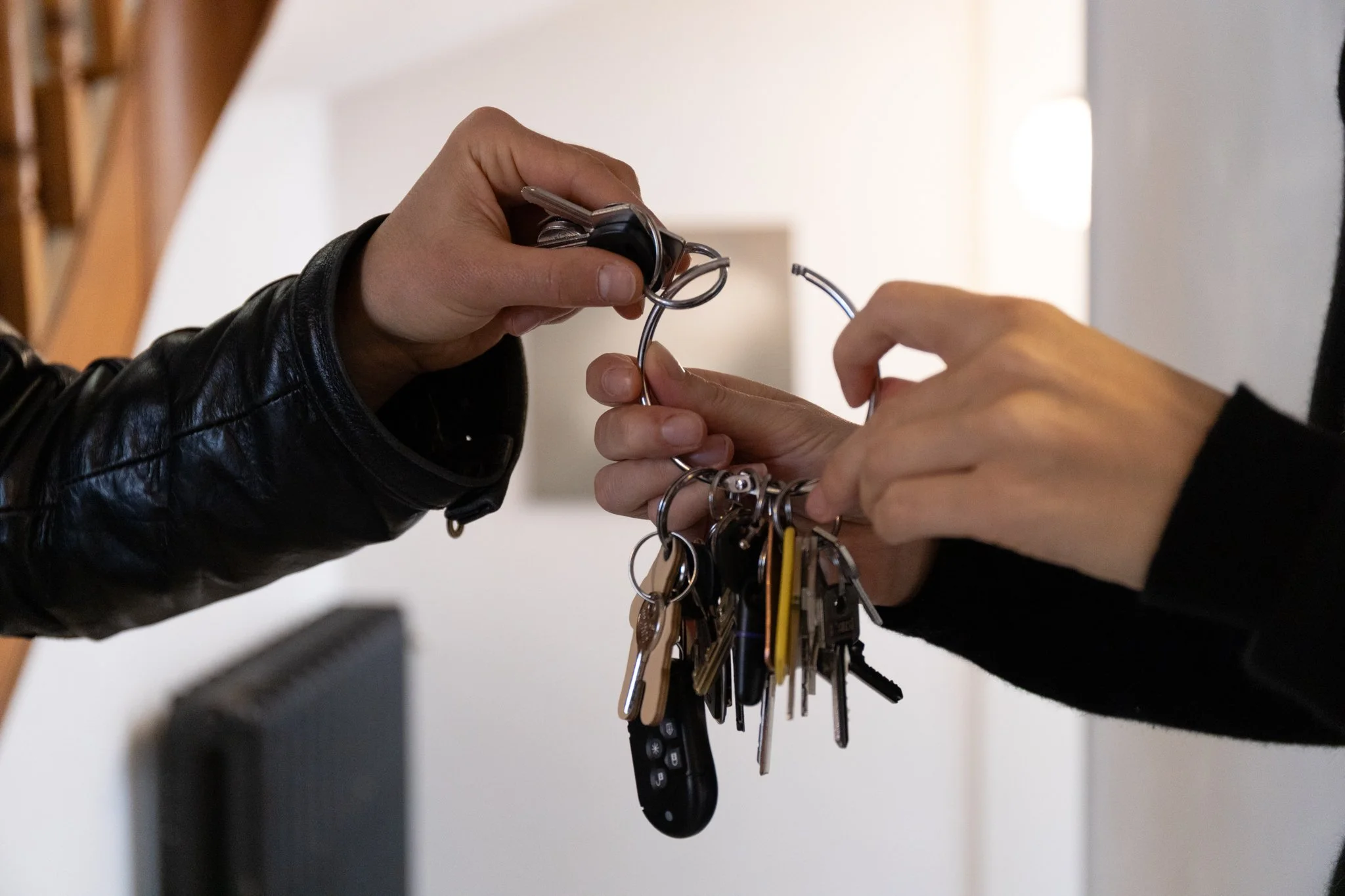 visite_particuliere_du_51_rue_forestiere_Chabeur_Geraci_Pile_Jacquart_©AnaïsChabeur -347.jpg