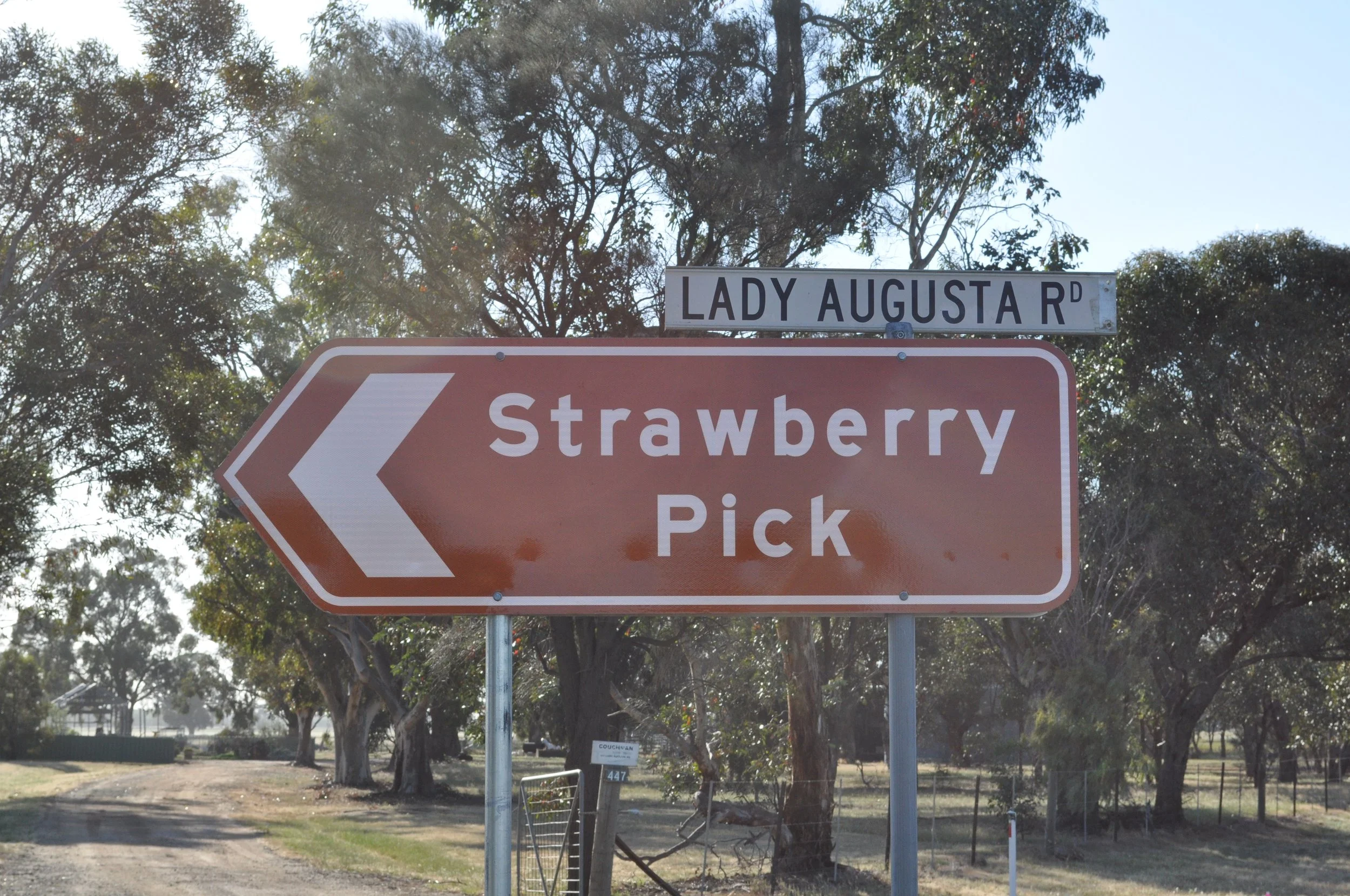 DSC_4064.jpg