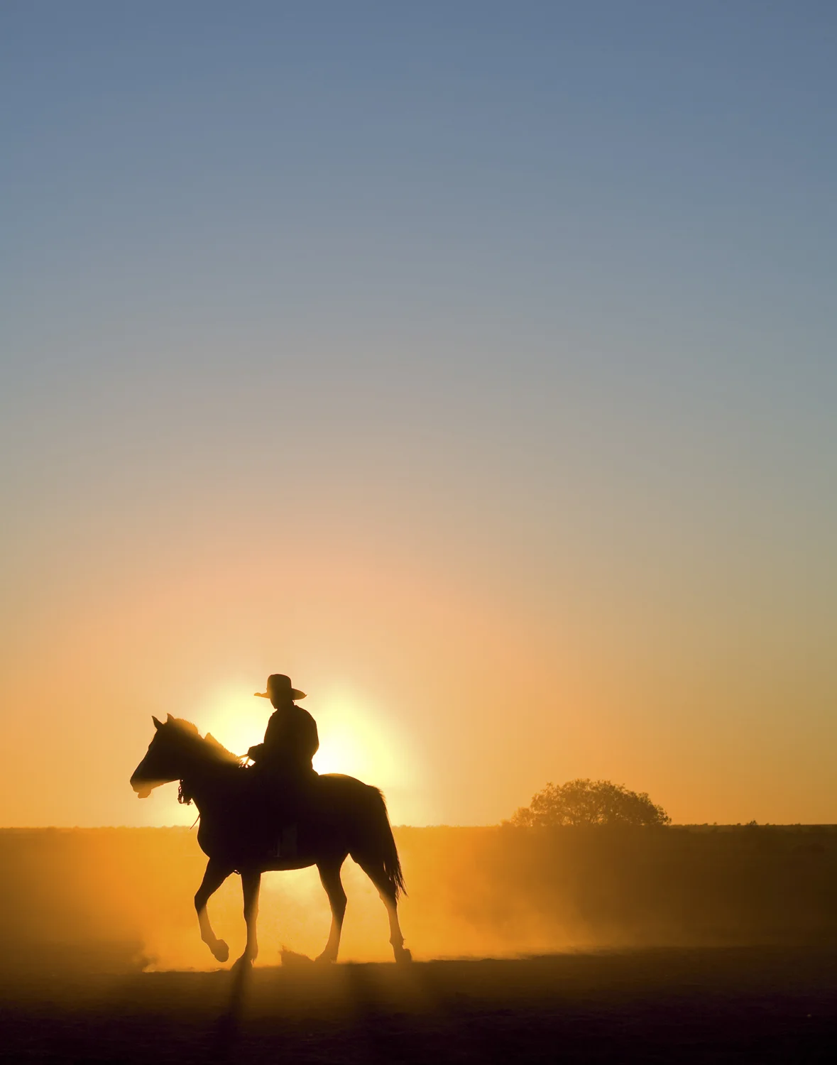  Cattle Muster at Dawn 