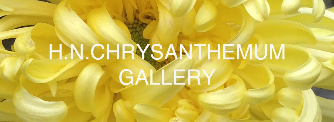 HNC Title_all caps.jpg