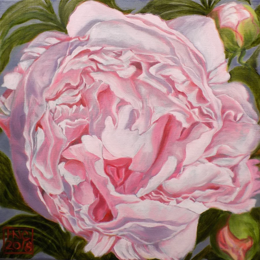 Peony