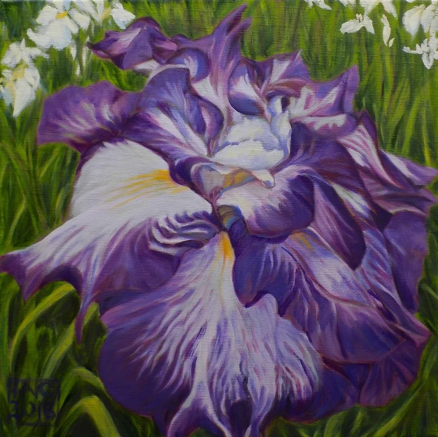 Irises