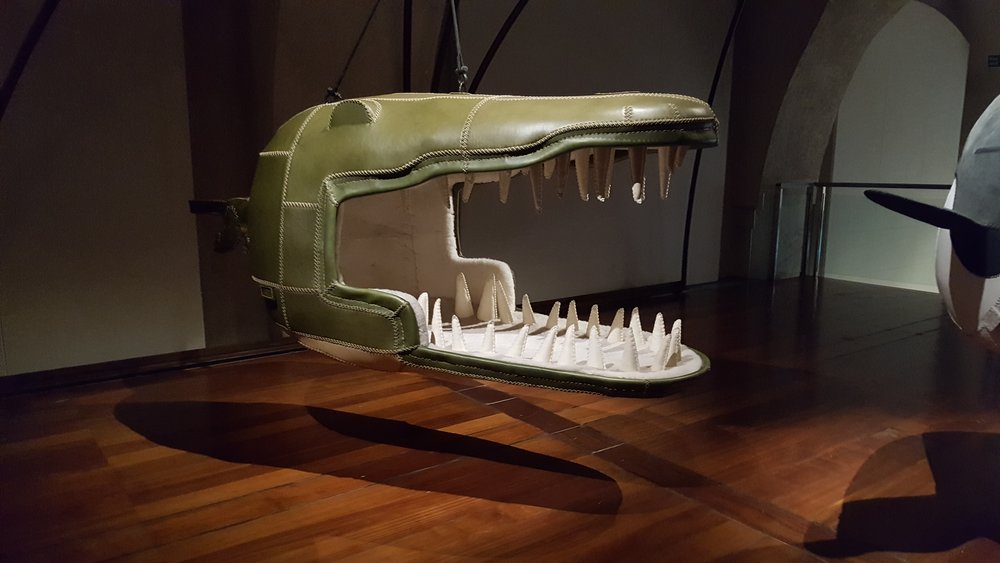 Eugenie Crocodylus