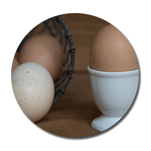 Breakfast - One thing clients WON'T screw up.