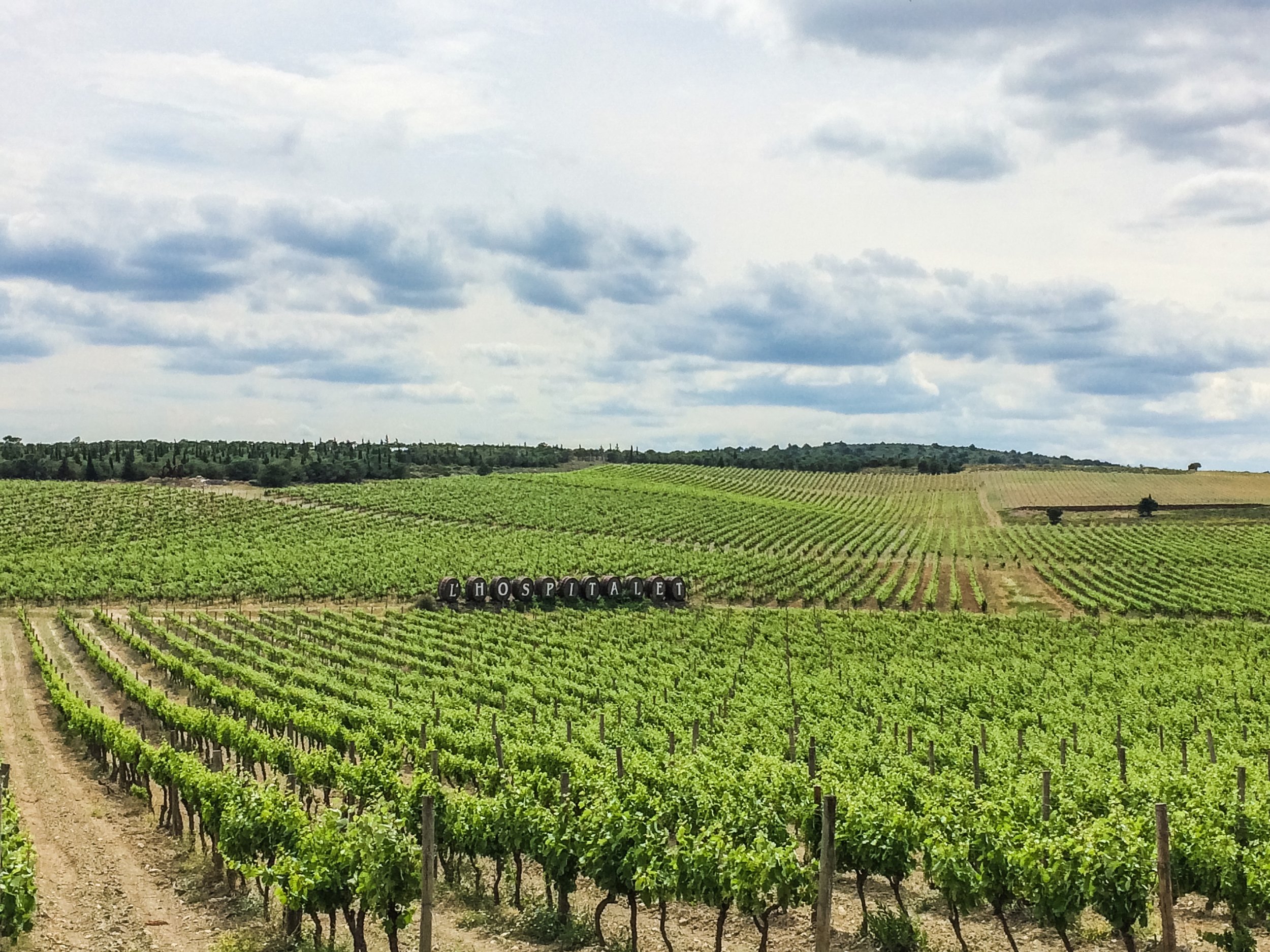  Driving through wine country in the South of France 