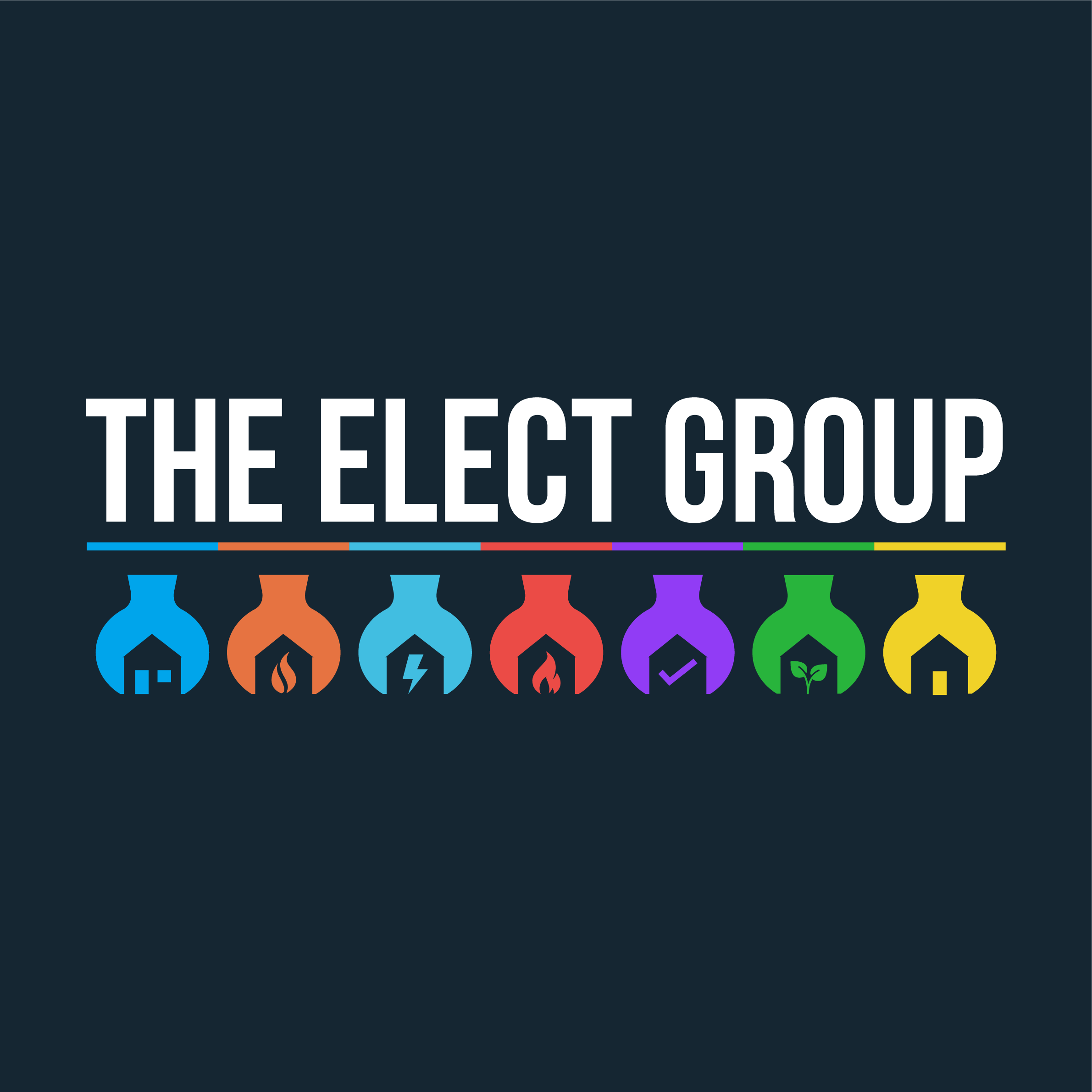 The Elect Group