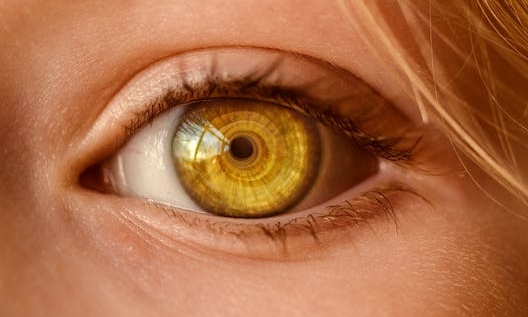 Eye.jpeg