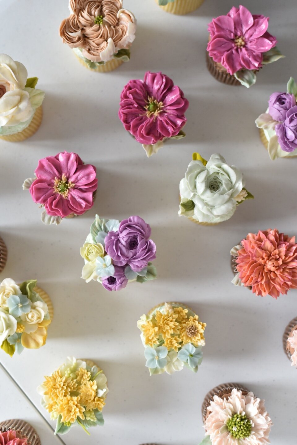 cupcakes 5.jpg