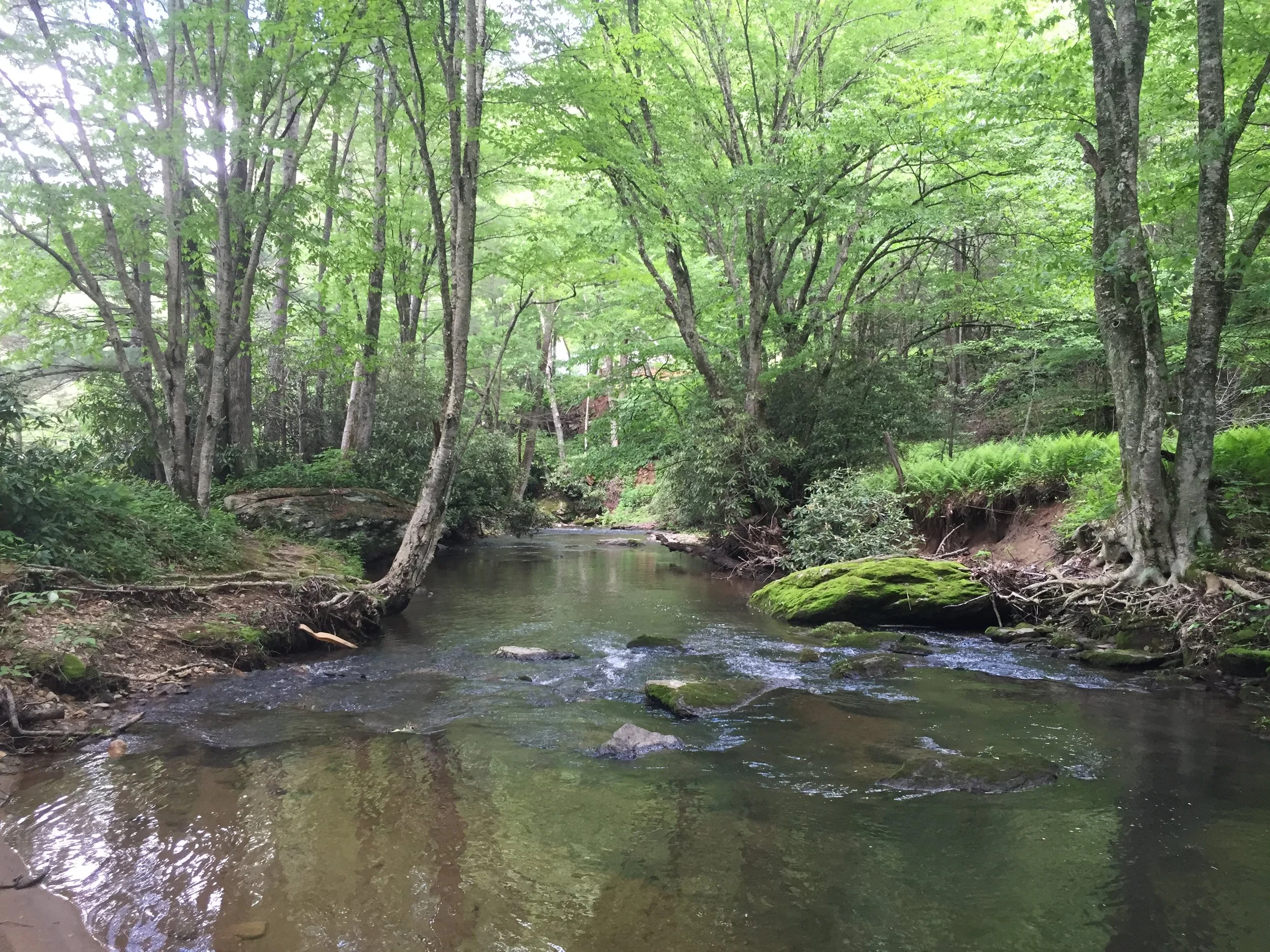 Middle Fork of the South Fork New River at Sterling Creek Park