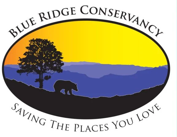 Member Hike: Pond Mountain