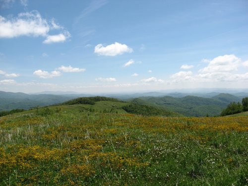 BRC Hike: Pond Mountain Game Land