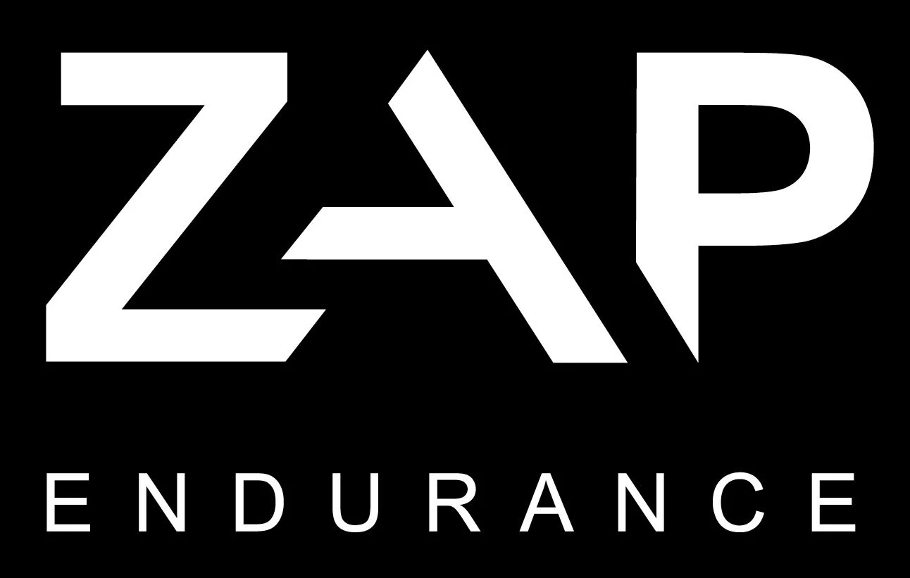 ZAP Endurance logo.jpg