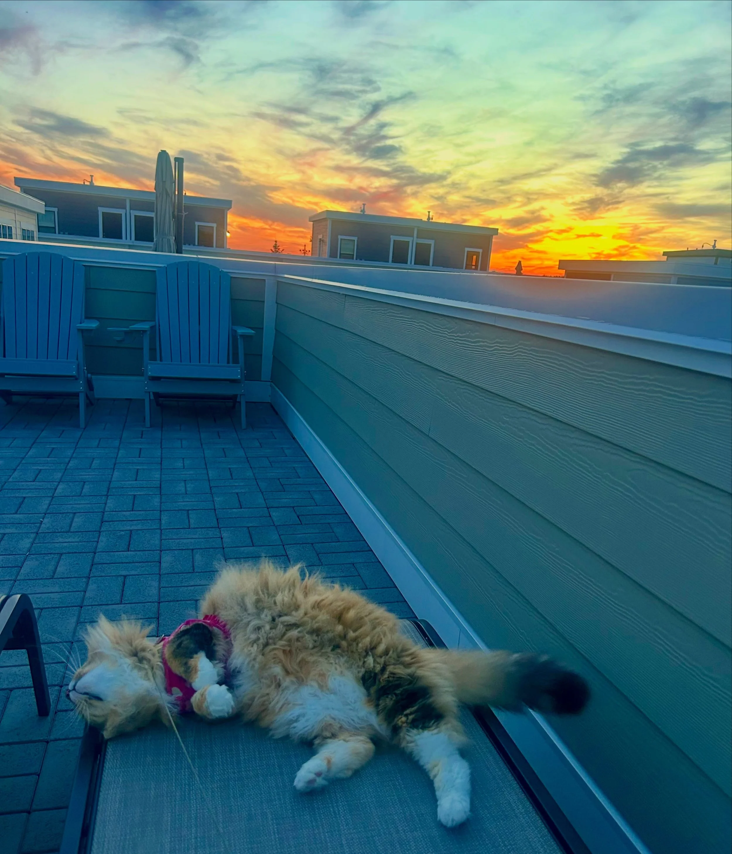 When someone asks what my plans over summer break are&hellip;

#breathe #teacherlife #summerbreak