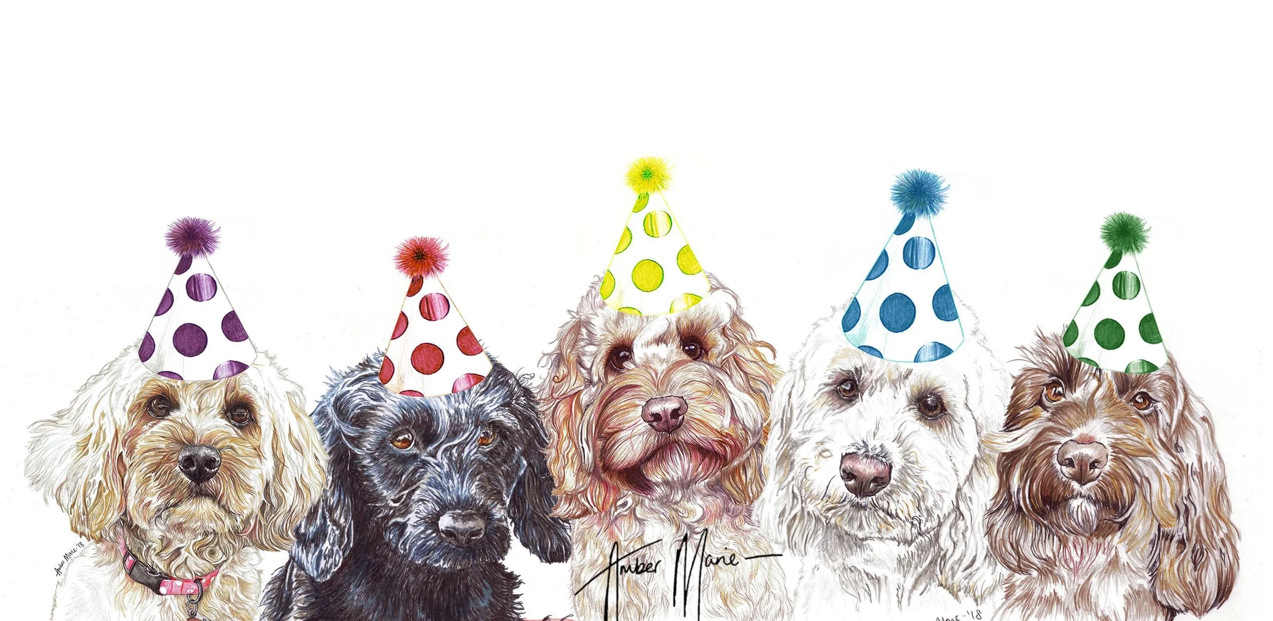 cocker spaniel shih tzu mix