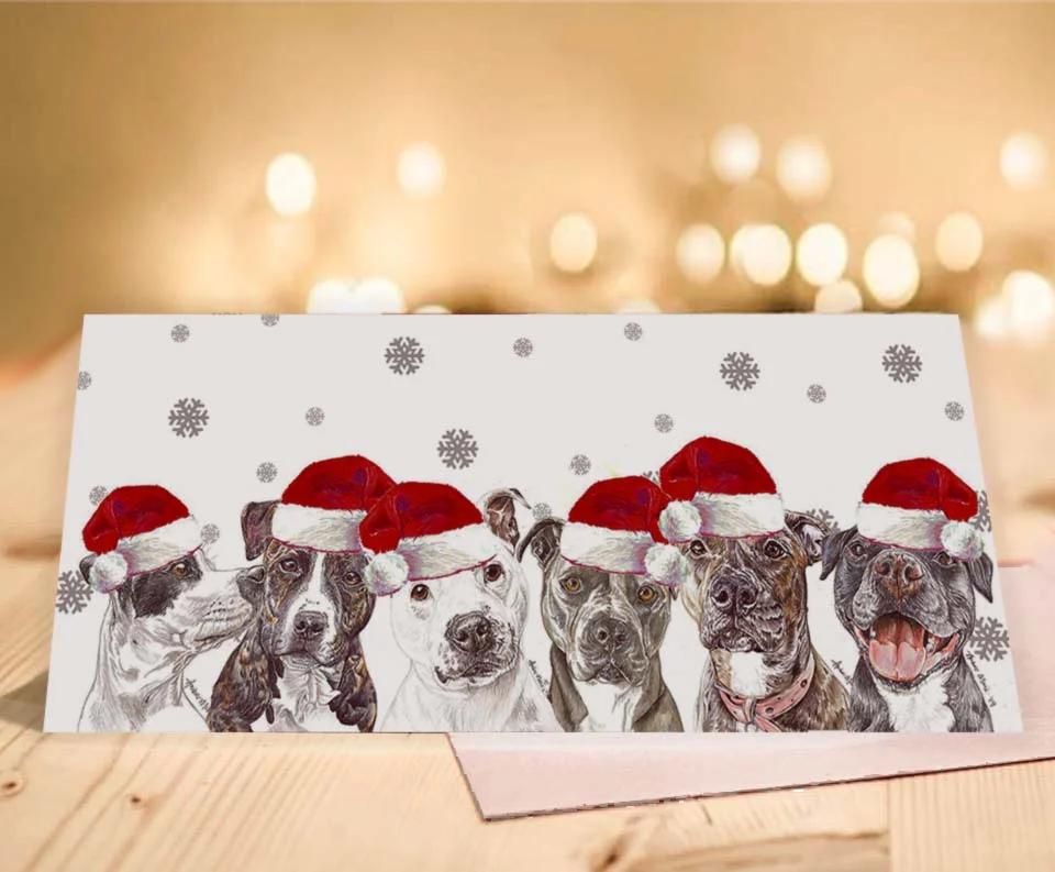 staffy presents