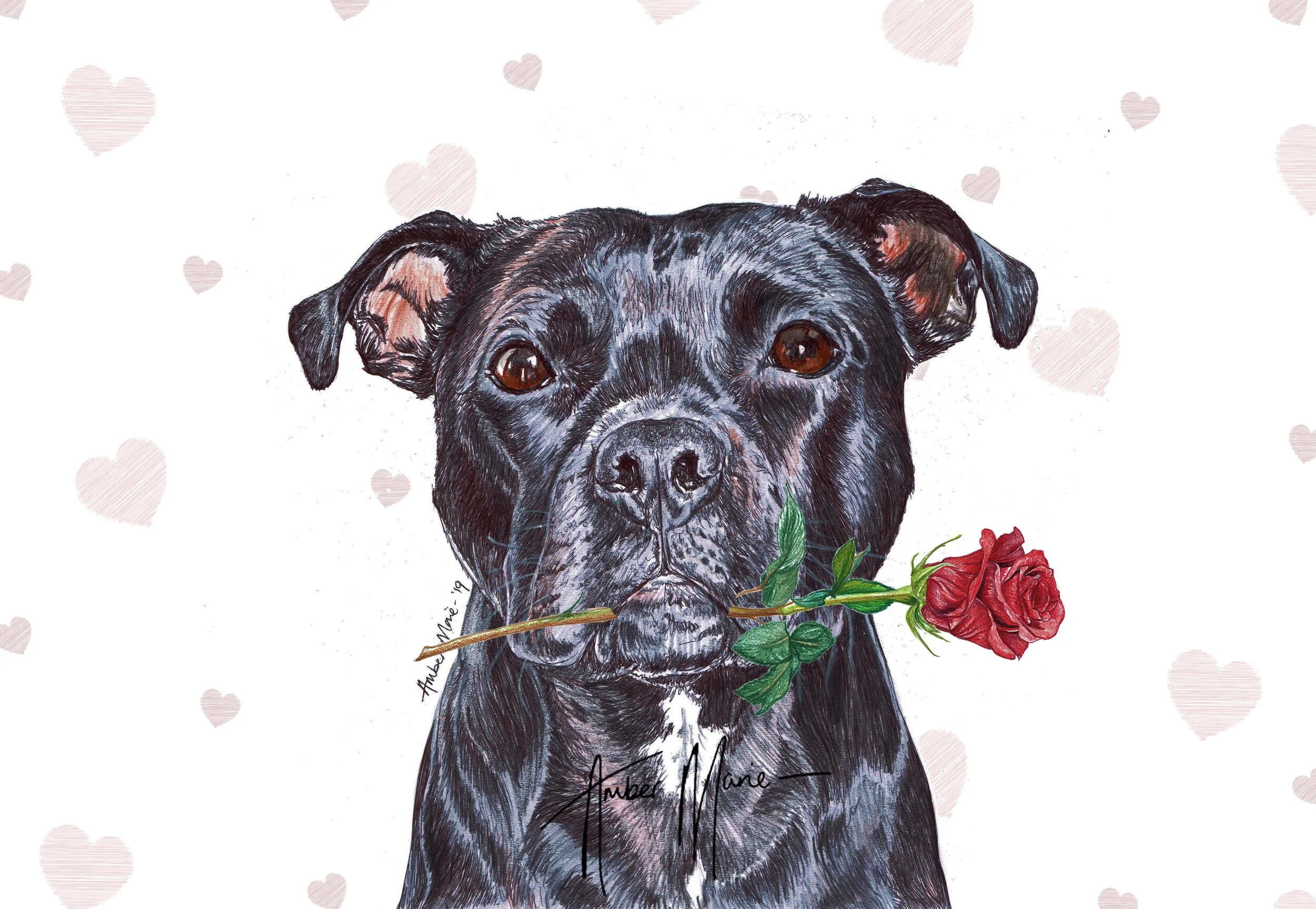 Staffordshire Bull Terrier Card - Cards Company - Over 3000 Cards For All Occasions