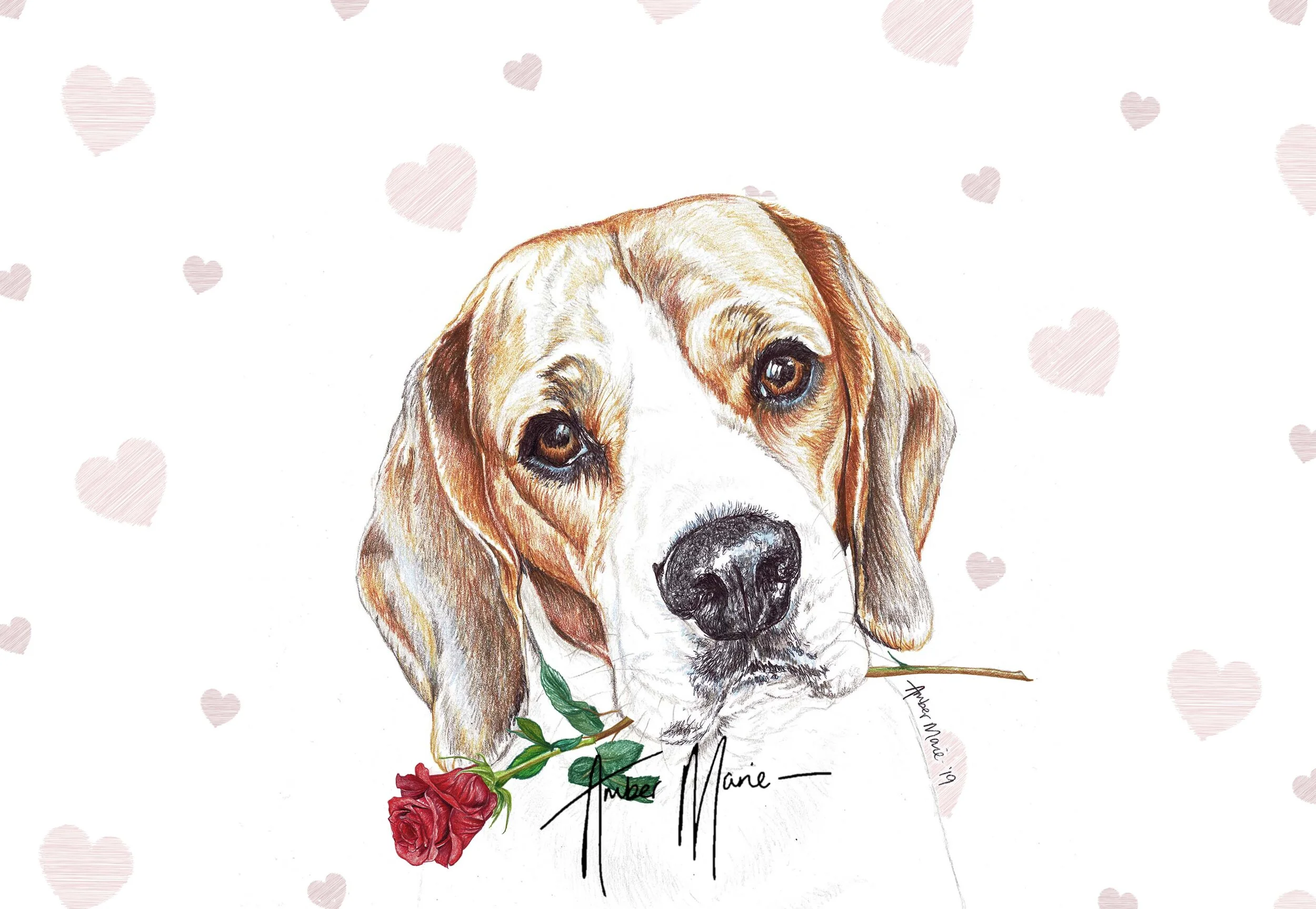 Beagle Valentine Cards Beagle Valentine Cards