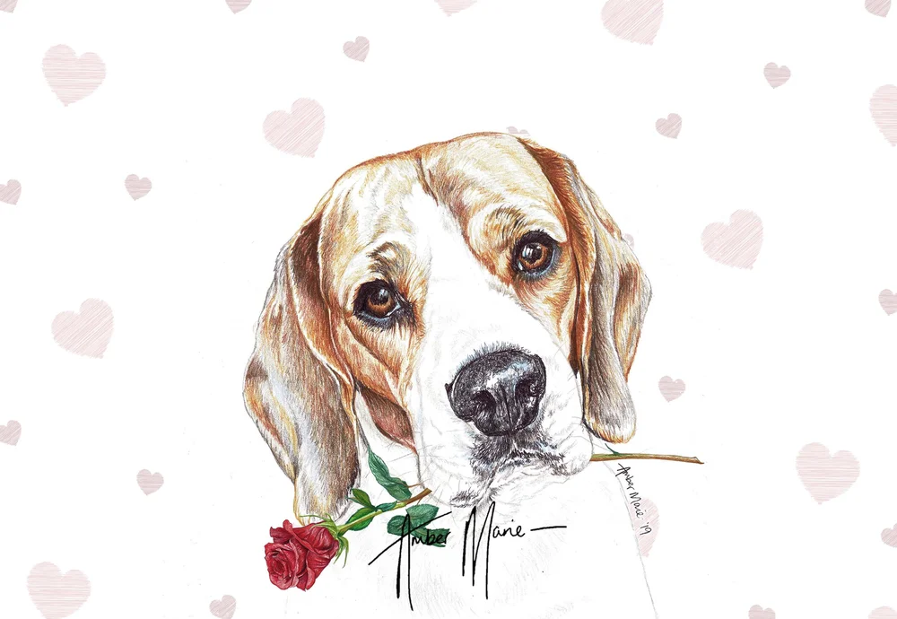 Beagle Valentine Cards