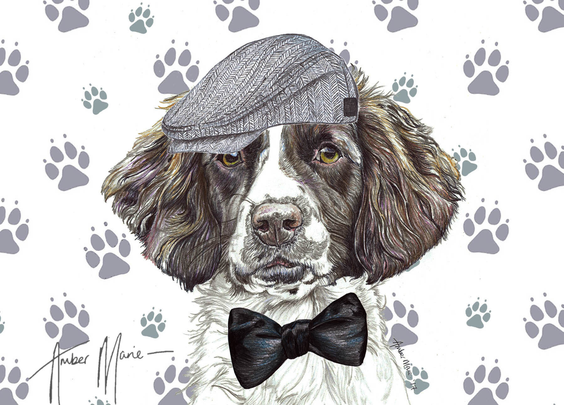 springer spaniel accessories
