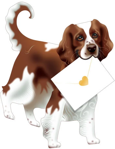 Springer Spaniel 3D card