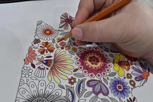 Large Basset Hound Colouring Poster — Two Woofs