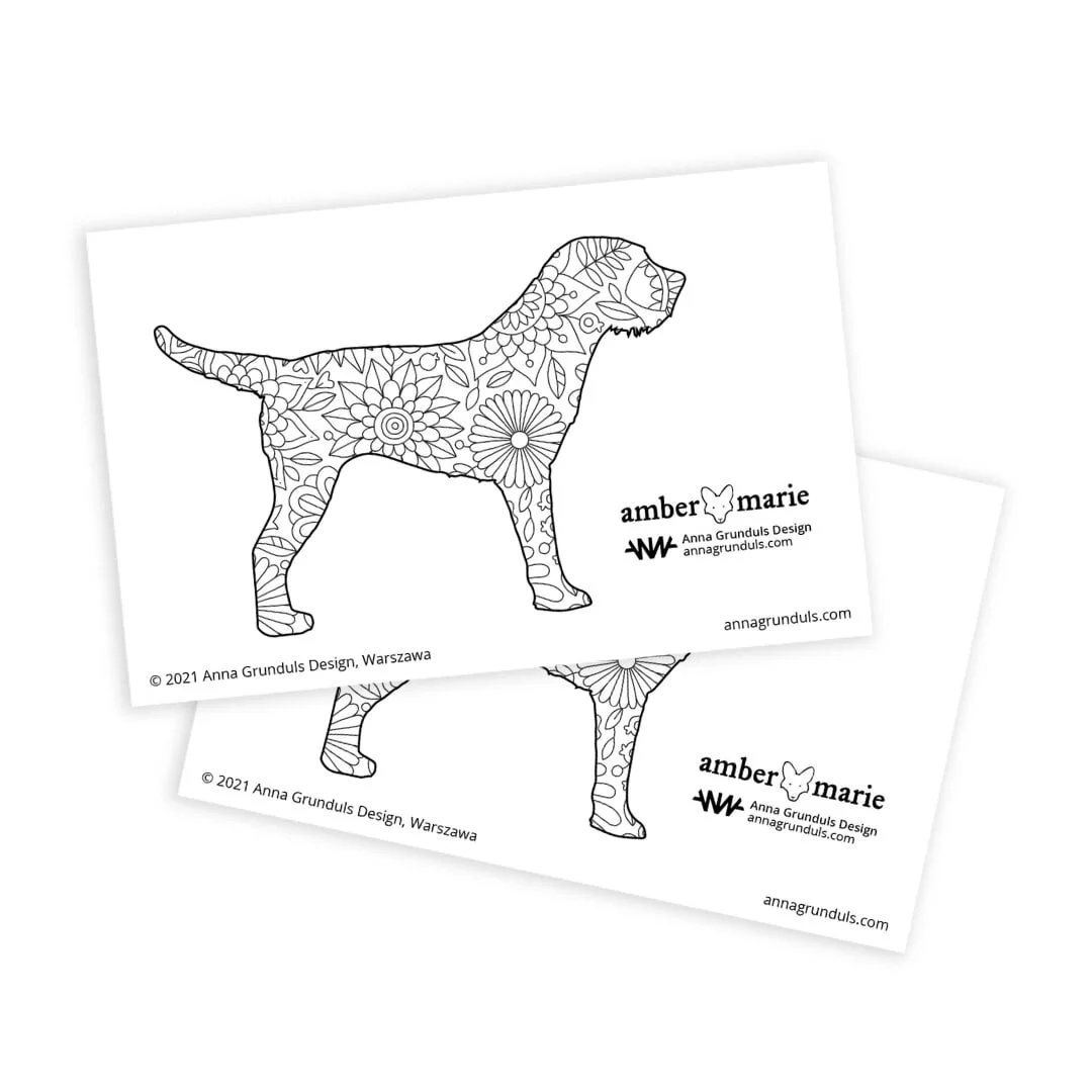 border terrier accessories