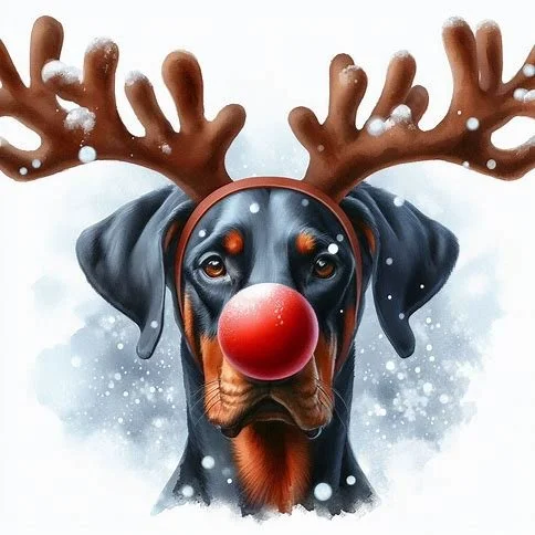 Pack of Doberman Christmas Cards