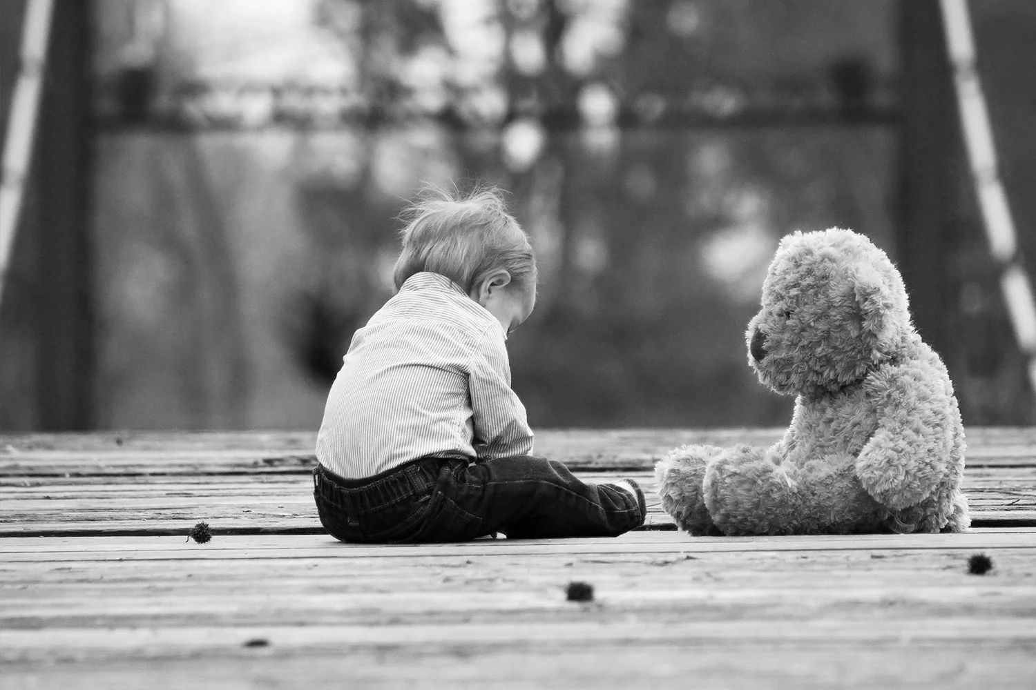 header-image-3.jpg