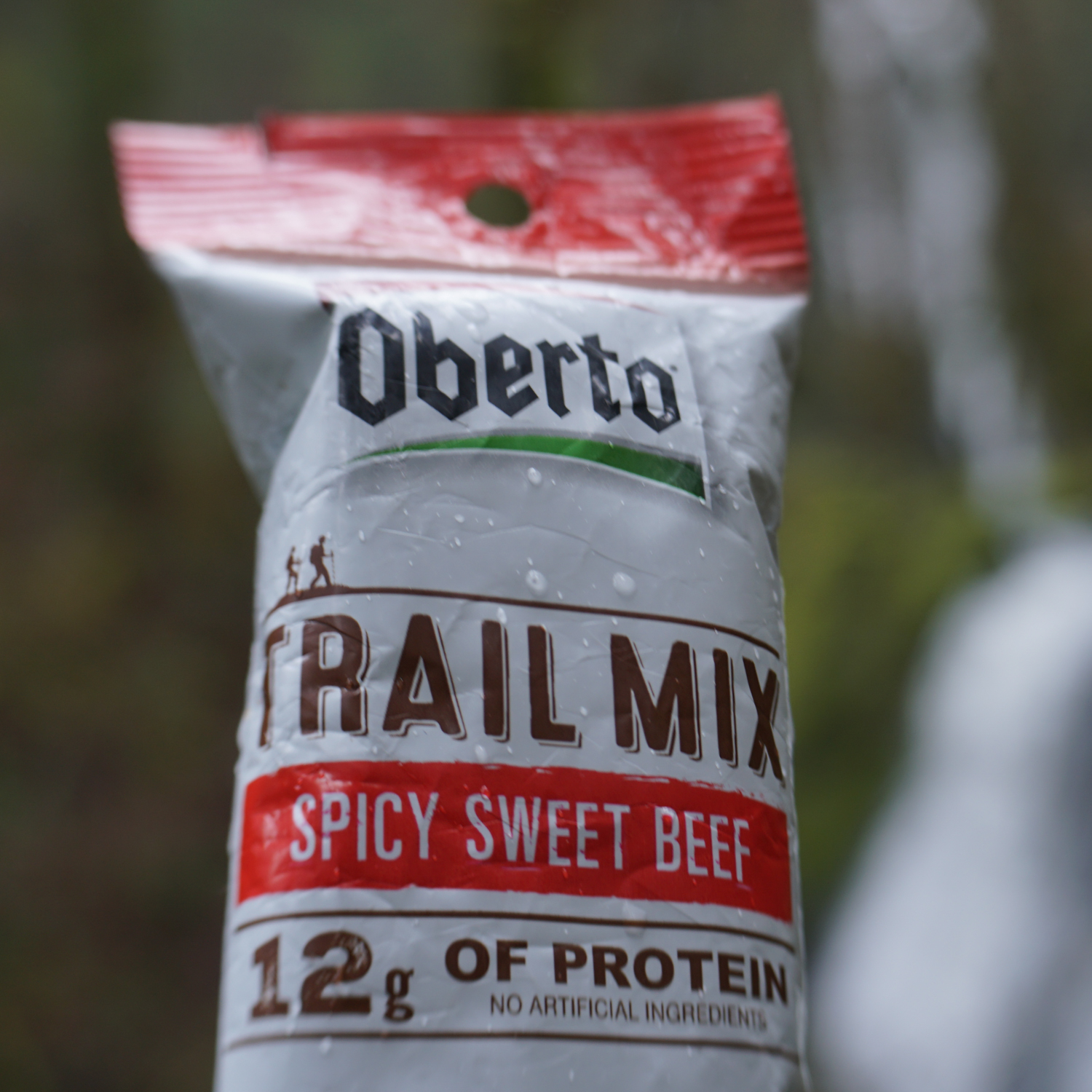 Trail Mix with Jerky in a PNW setting
