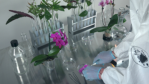 Anicka Yi, still from The Flavor Genome, 2016 . 3D high-definition video, color, sound; 22 min. Collection of the artist; courtesy the artist and 47 Canal, New York.