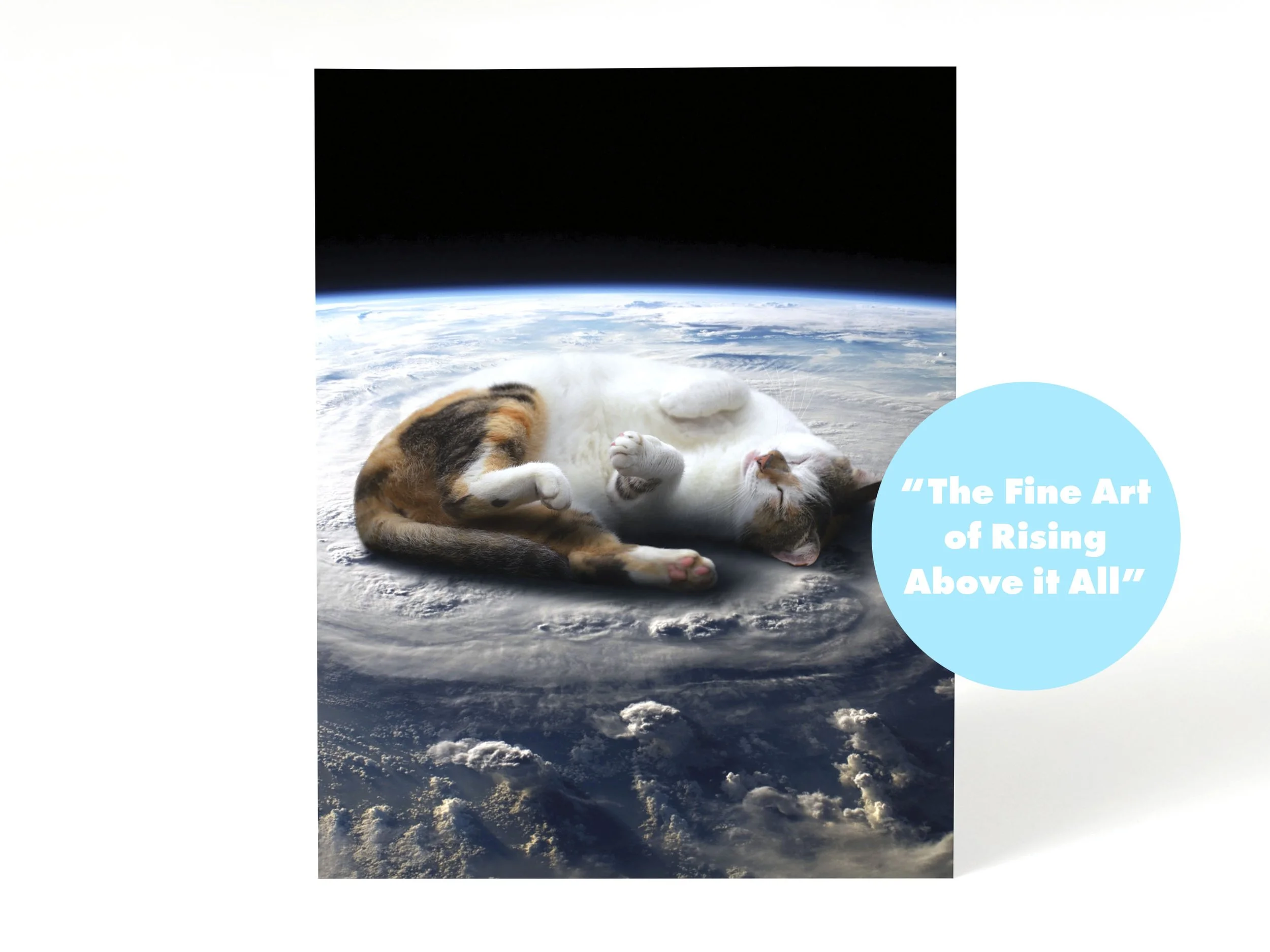 Cosmic Cats Listing_fine.jpg