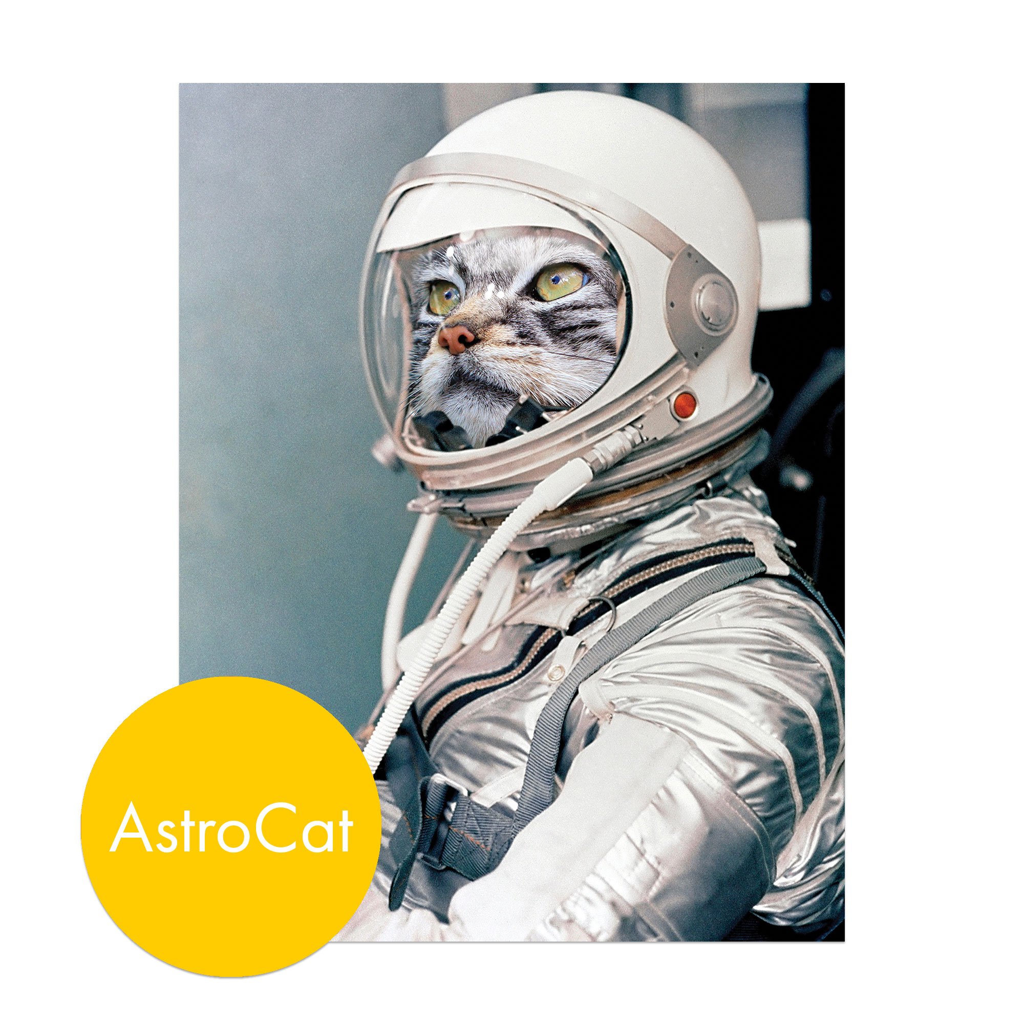 AstroCats_5.jpg