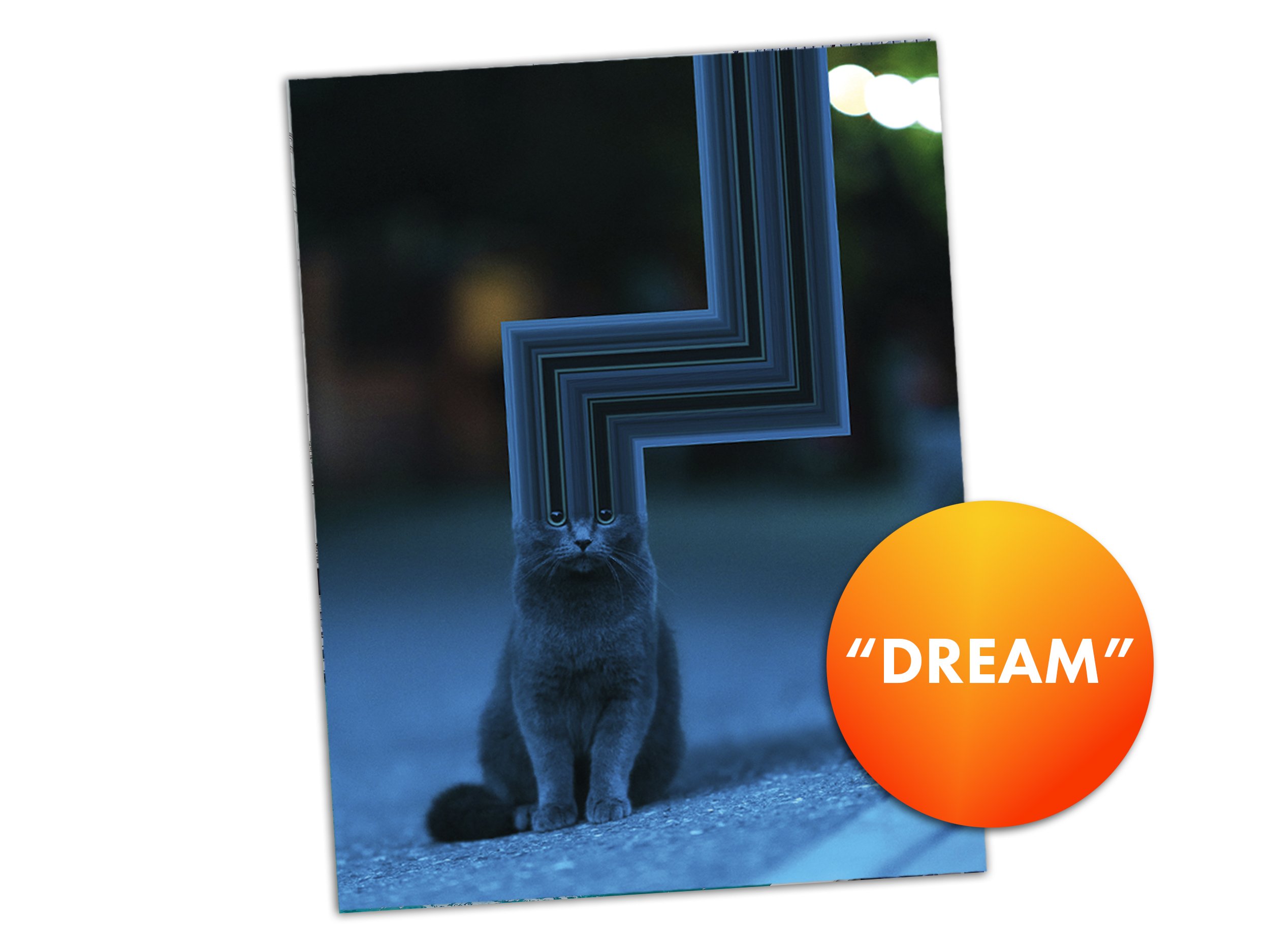 Warp Cats Postcards Listing WIP_0004_DREAM.jpg