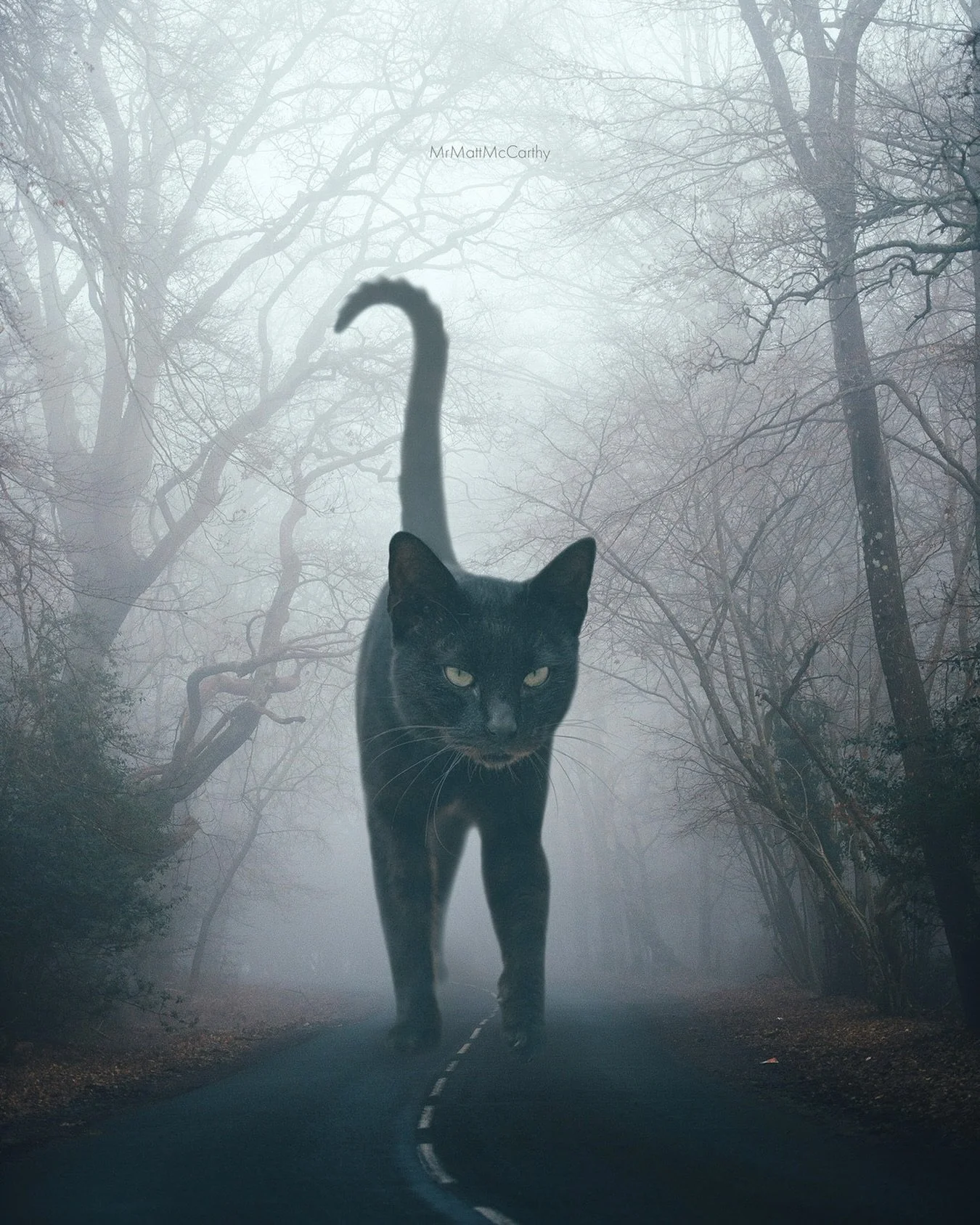 Happy Halloween! 🎃 May your day be filled with candy, costumes, and of course giant cats!

#catfluencer#caturday365#catmemesdaily#catartist#trippyartofficial#halloweencat#halloweencats#horrormovies#mrmattsblackcats#blackcatsclub#chatnoir#darksurreal