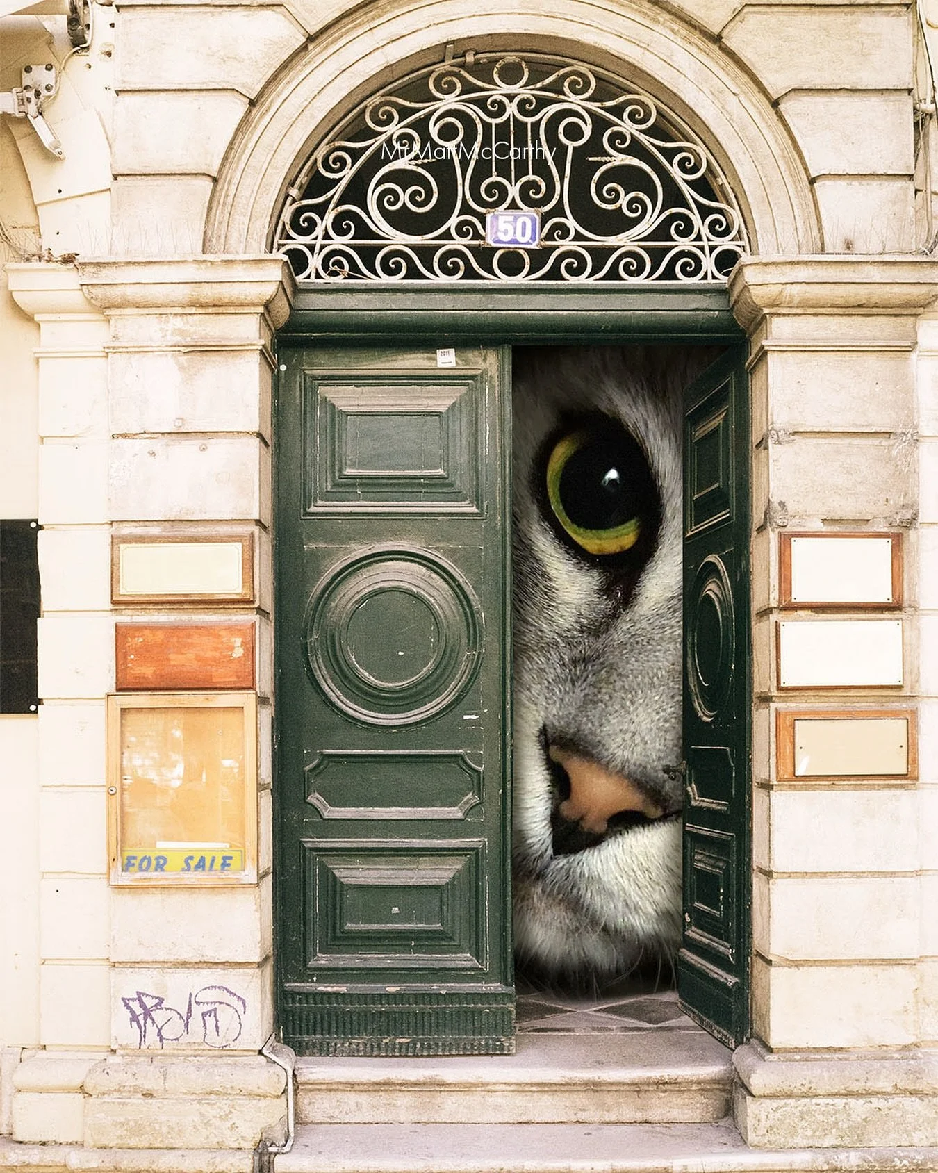 Knock Knock 🚪 This is one of my favorite pieces and it&rsquo;s available in my shop as both a print and as part of my Nosy Cats Postcard Set.

😸 To receive exclusive news, special offers, and other fun stuff, Subscribe to my mailing list! Link in b
