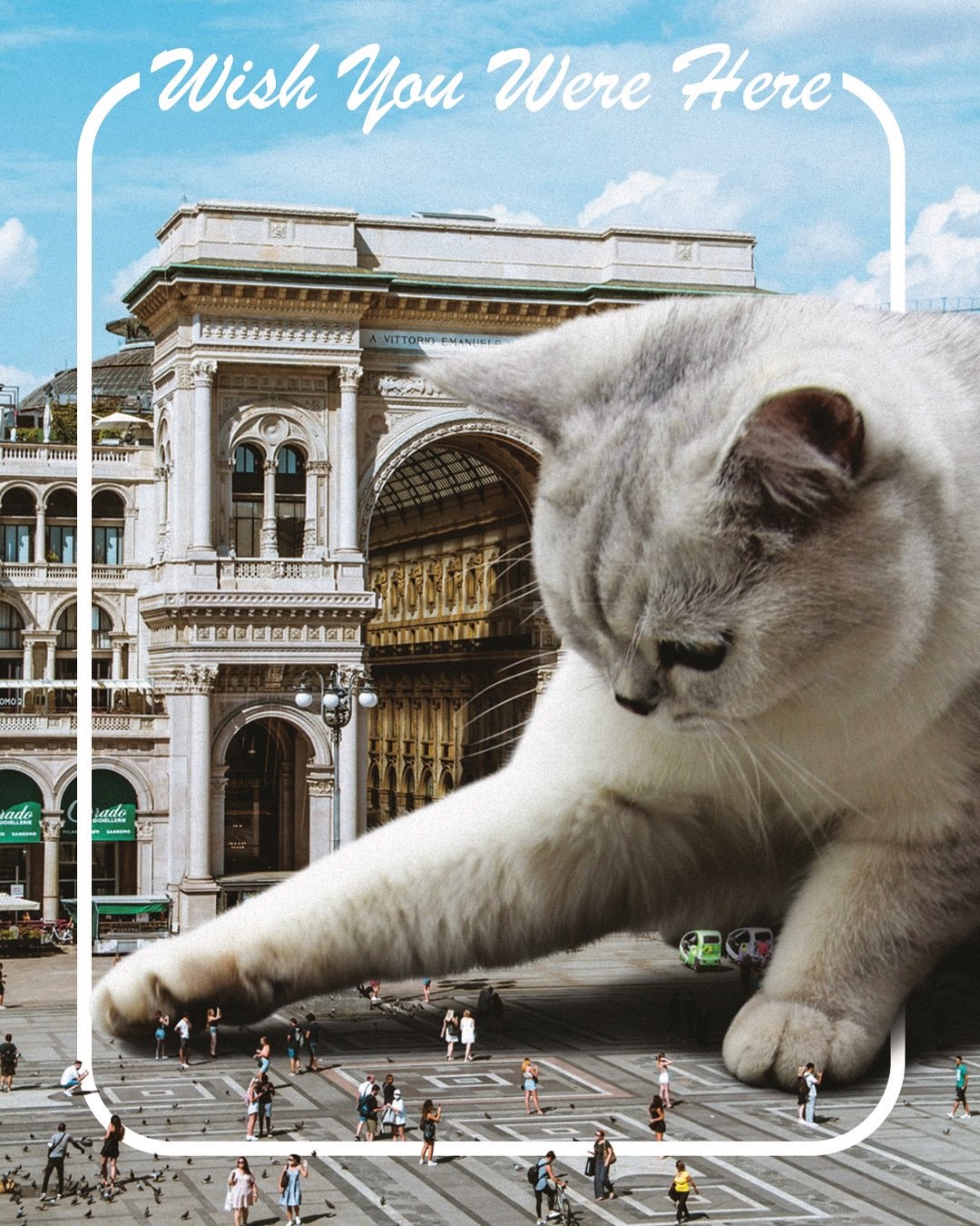 Wish You Were Here 💌 A couple versions of the classic &lsquo;Wish You Were Here&rsquo; postcards I&rsquo;ve made. I have a pretty large collection of postcards that I&rsquo;ve picked up through the years and this expression is one of my favorites, s