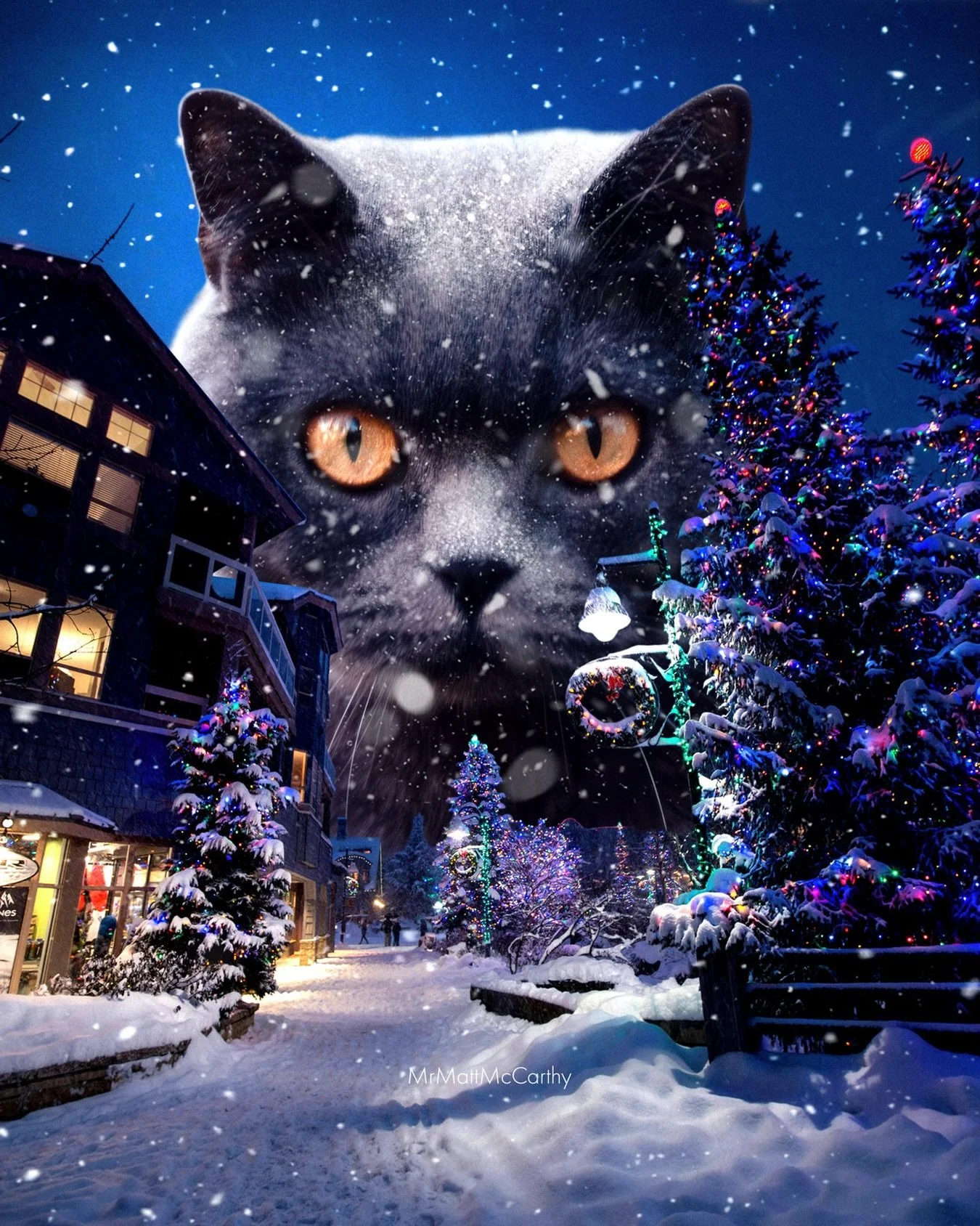 The Yule Cat Cometh ❄️ The Yule Cat mythology has been making the rounds this holiday season and it&rsquo;s right up my alley. According to Icelandic Christmas folklore, the massive Yule Cat lurks in the countryside during the holiday season and will