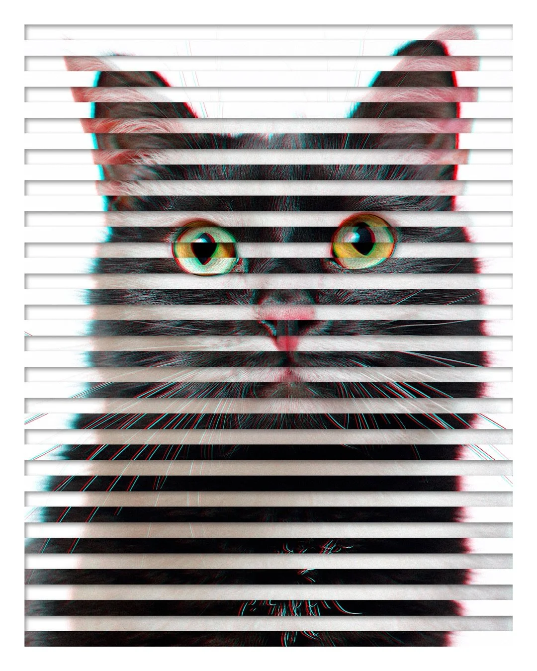 E pluripuss unum, 2025 &bull; This piece was selected for the @durhamartguild 71st Annual Juried Show, which opens tonight (12/19) in Downtown Durham, NC. I&rsquo;m honored to be part of this show with so many talented artists, and I hope you&rsquo;l