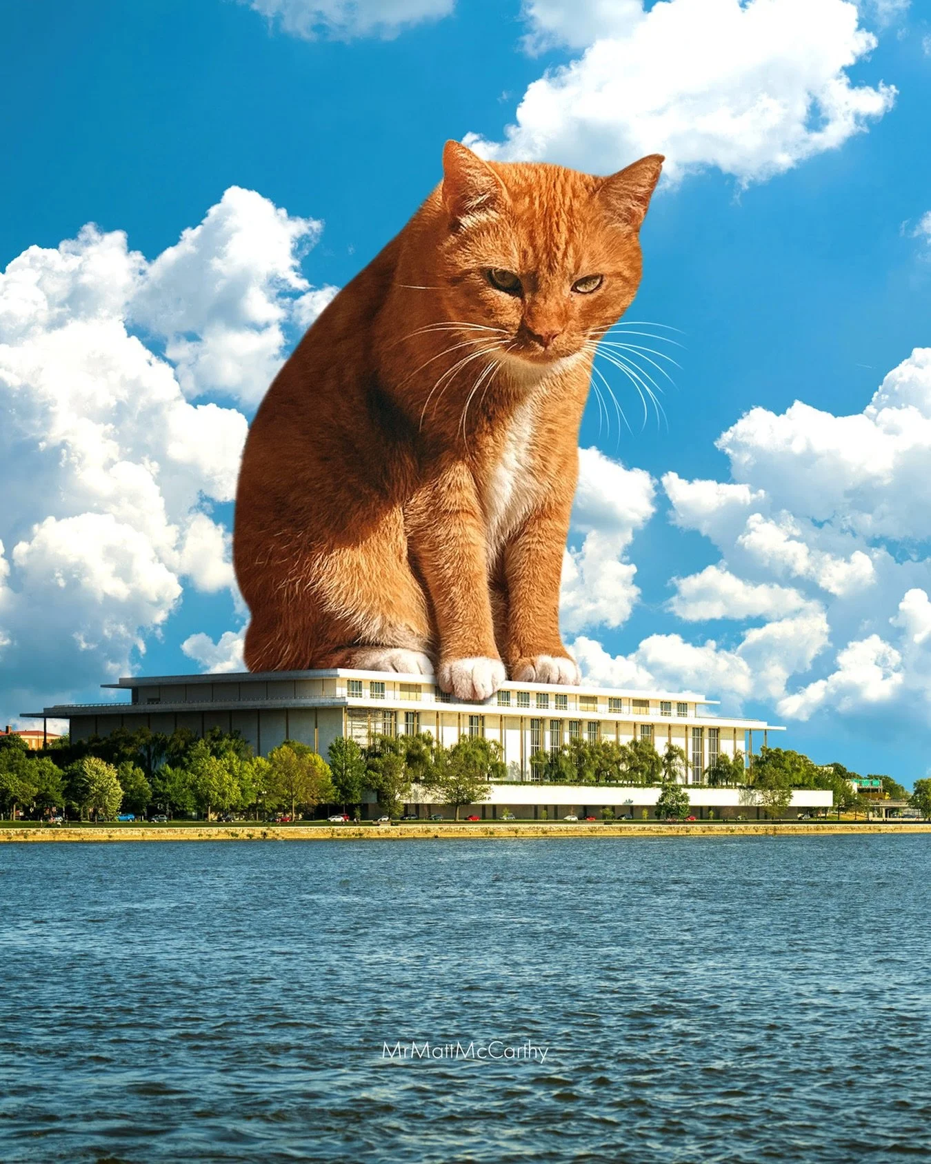 The Emperor Has No Shame, 2025 🫡 Plastering your name on someone else&rsquo;s memorial... cool. cool cool cool. It&rsquo;s fitting that probably the last new piece I make this year will be because I was pissed at something happening in Washington DC