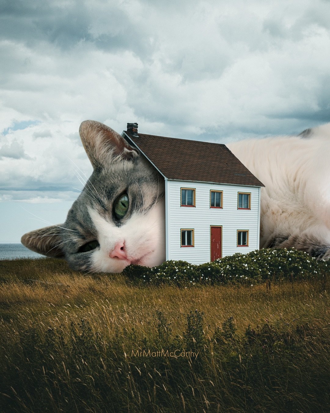One for the indoor cats! 🏠 It&rsquo;s not that I don&rsquo;t like going outside, there&rsquo;s plenty of fun stuff out there, but given the choice I&rsquo;d probably be on the couch at home watching a scary movie or at my desk putting cats into pict