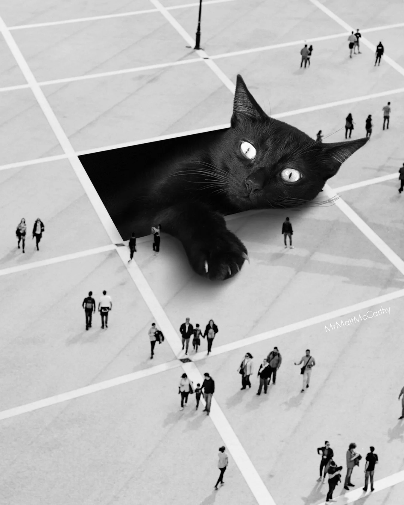 Licorice has Become Ungovernable ⚫️ I identify with this black cat. Go your own way, do your own thing, become ungovernable!
